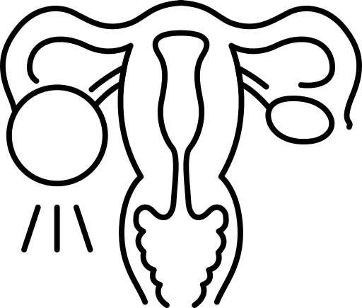 package-program-icon