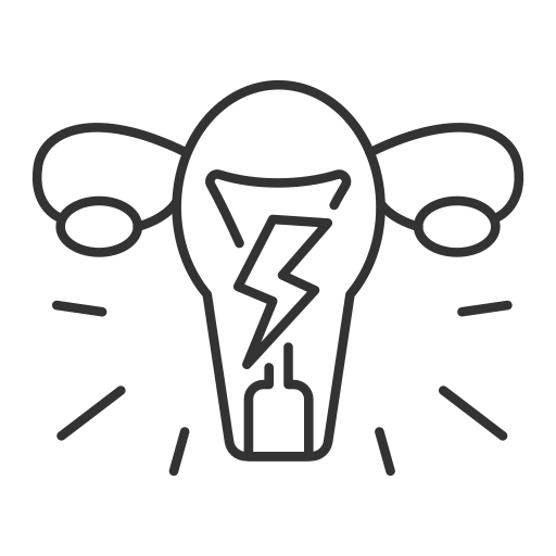package-program-icon