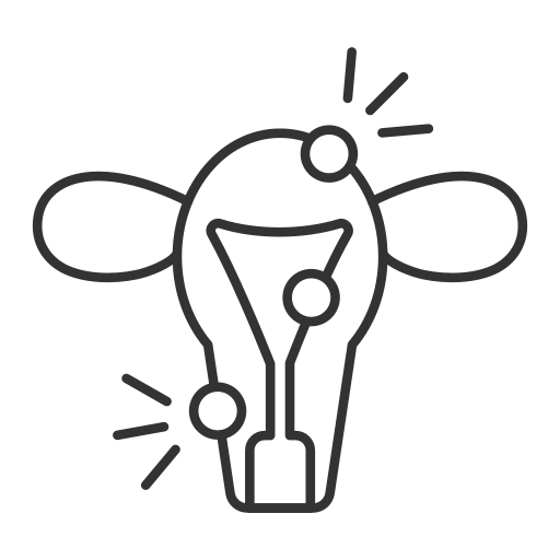 package-program-icon
